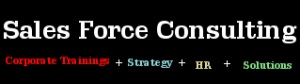 Sales force Consulting